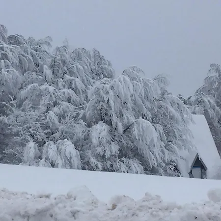 بيت للعطل Golija Vikendica Cesta Vrela Raška