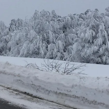 Golija Vikendica Cesta Vrela * Raška