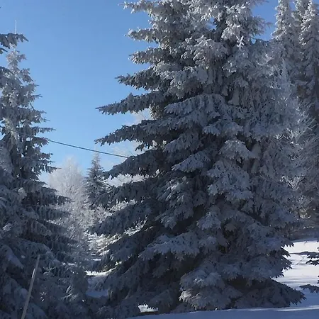 Vakantiehuis Golija Vikendica Cesta Vrela Raška