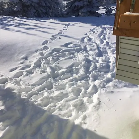 Golija Vikendica Cesta Vrela Vakantiehuis Raška