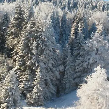 Golija Vikendica Cesta Vrela