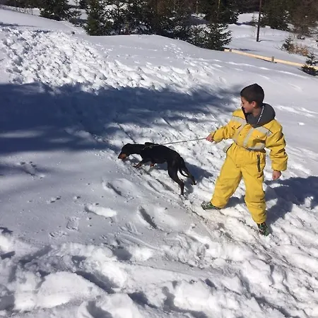 Vakantiehuis Golija Vikendica Cesta Vrela