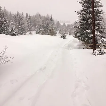 Golija Vikendica Cesta Vrela *