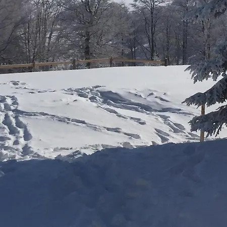 Vakantiehuis Golija Vikendica Cesta Vrela