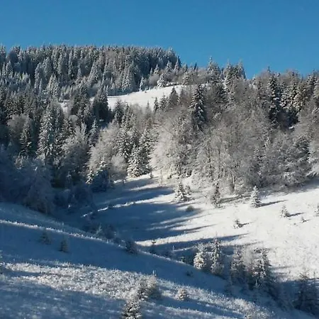 Golija Vikendica Cesta Vrela