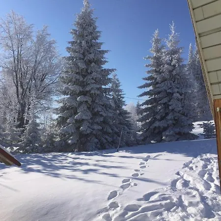 Golija Vikendica Cesta Vrela Vakantiehuis Raška