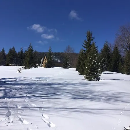 Vakantiehuis Golija Vikendica Cesta Vrela