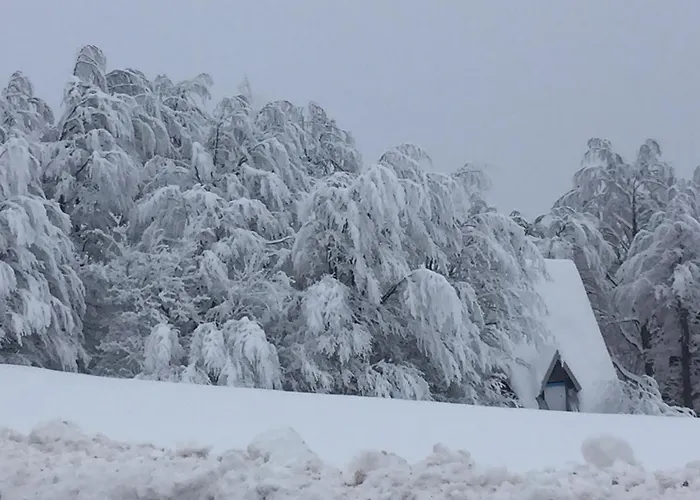 Ferienhaus Golija Vikendica Cesta Vrela Raška