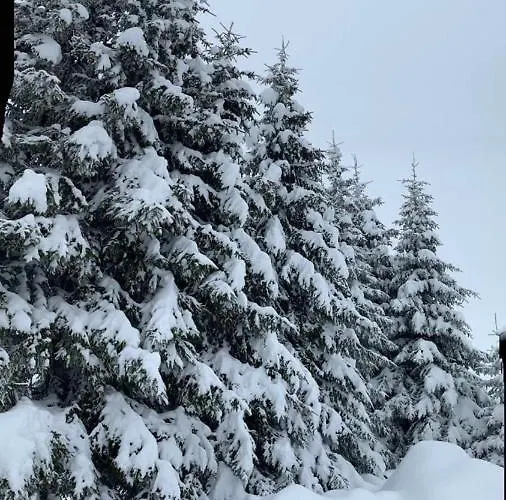 Ferienhaus Golija Vikendica Cesta Vrela