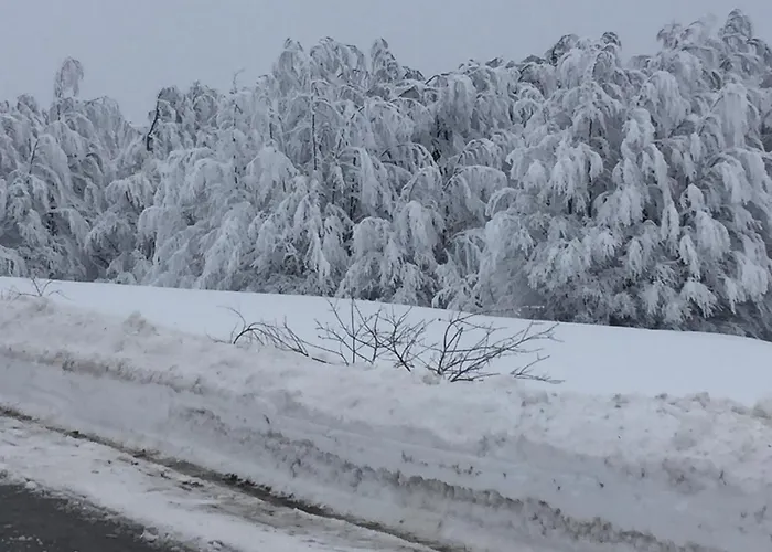 Golija Vikendica Cesta Vrela * Raška