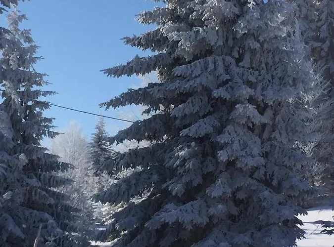 Ferienhaus Golija Vikendica Cesta Vrela Raška