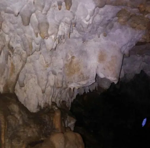 펜션 Golija Vikendica Cesta Vrela *