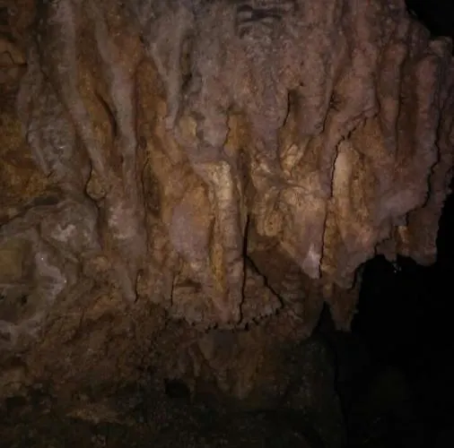 Golija Vikendica Cesta Vrela *