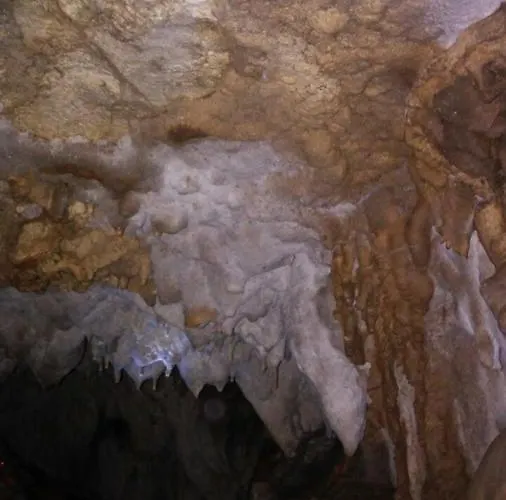 Golija Vikendica Cesta Vrela