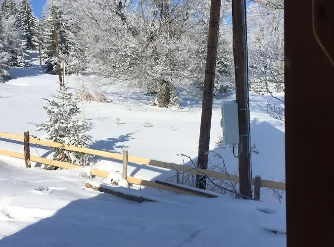 Golija Vikendica Cesta Vrela 펜션 라스카