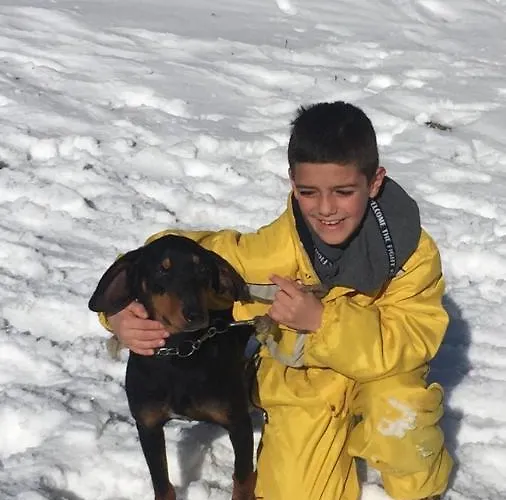 Golija Vikendica Cesta Vrela *