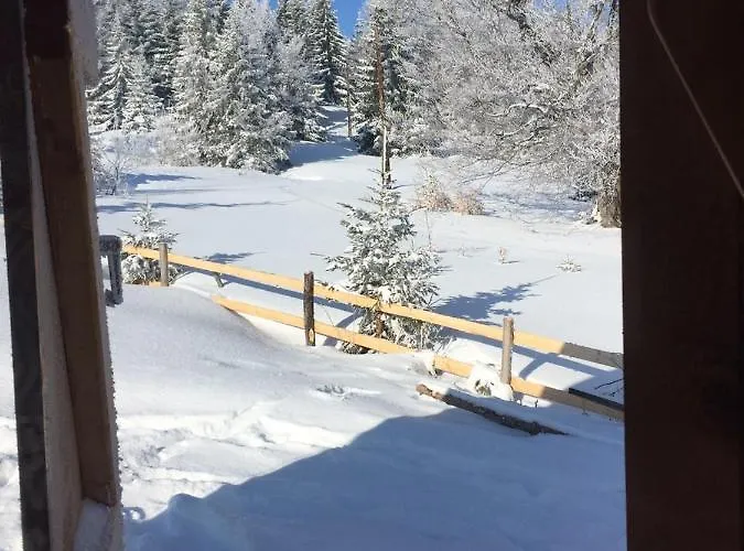 펜션 Golija Vikendica Cesta Vrela *