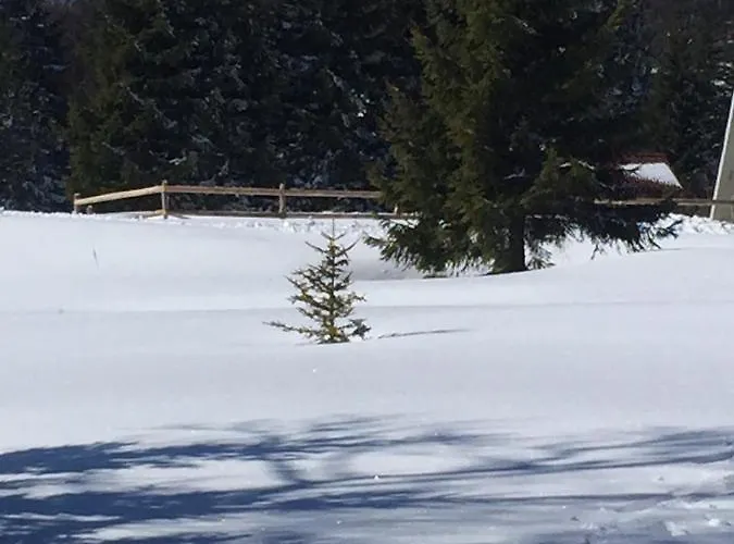 Golija Vikendica Cesta Vrela * 라스카