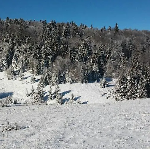 Golija Vikendica Cesta Vrela 펜션