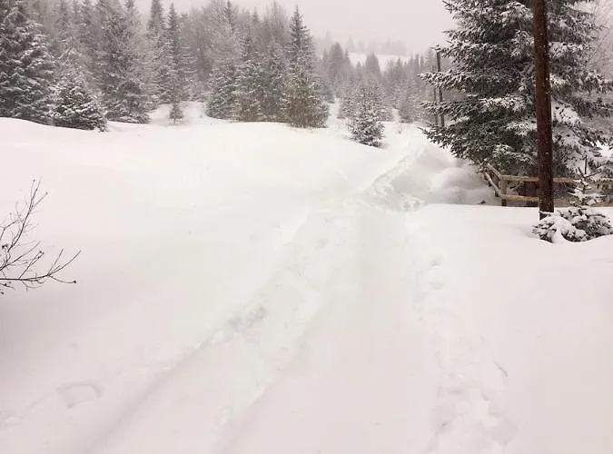 Golija Vikendica Cesta Vrela *