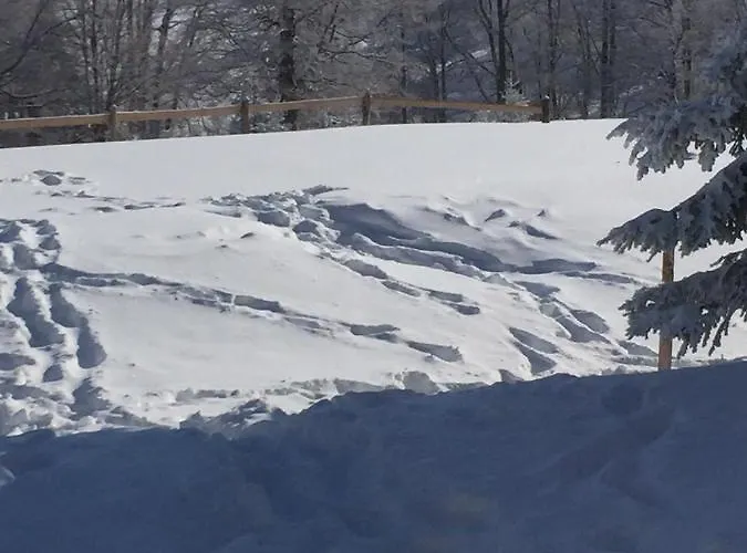 펜션 Golija Vikendica Cesta Vrela