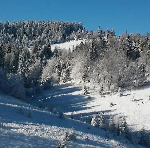 Golija Vikendica Cesta Vrela