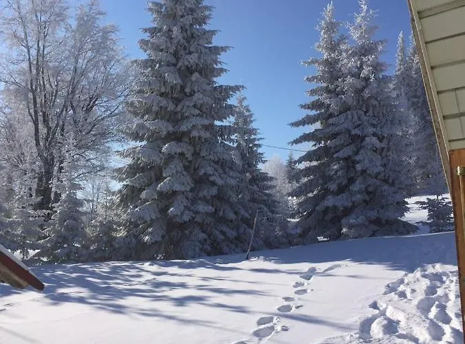 Golija Vikendica Cesta Vrela 펜션 라스카