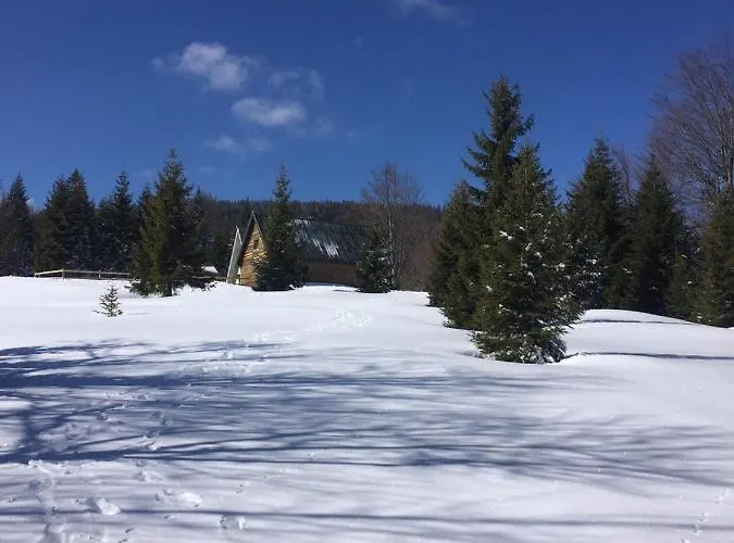 펜션 Golija Vikendica Cesta Vrela